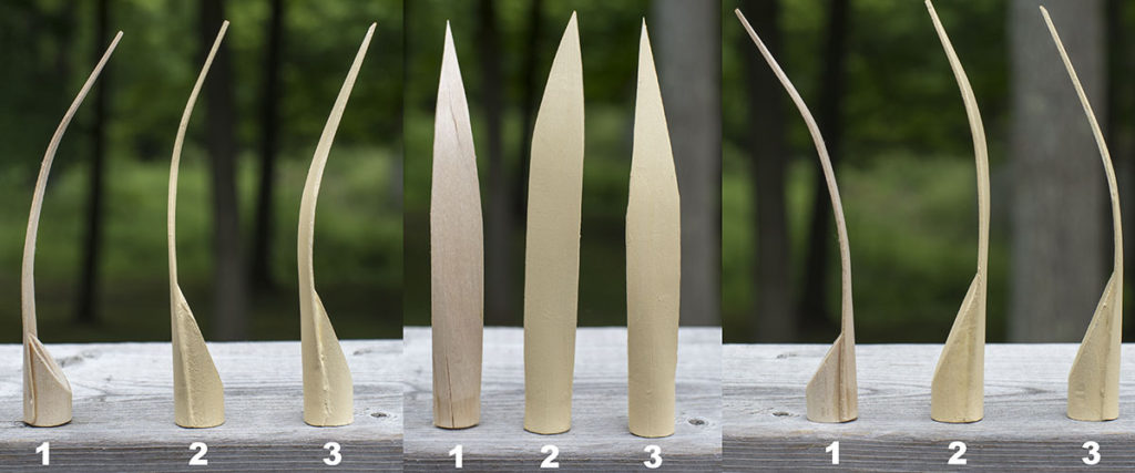 Final teeth in front and side views.